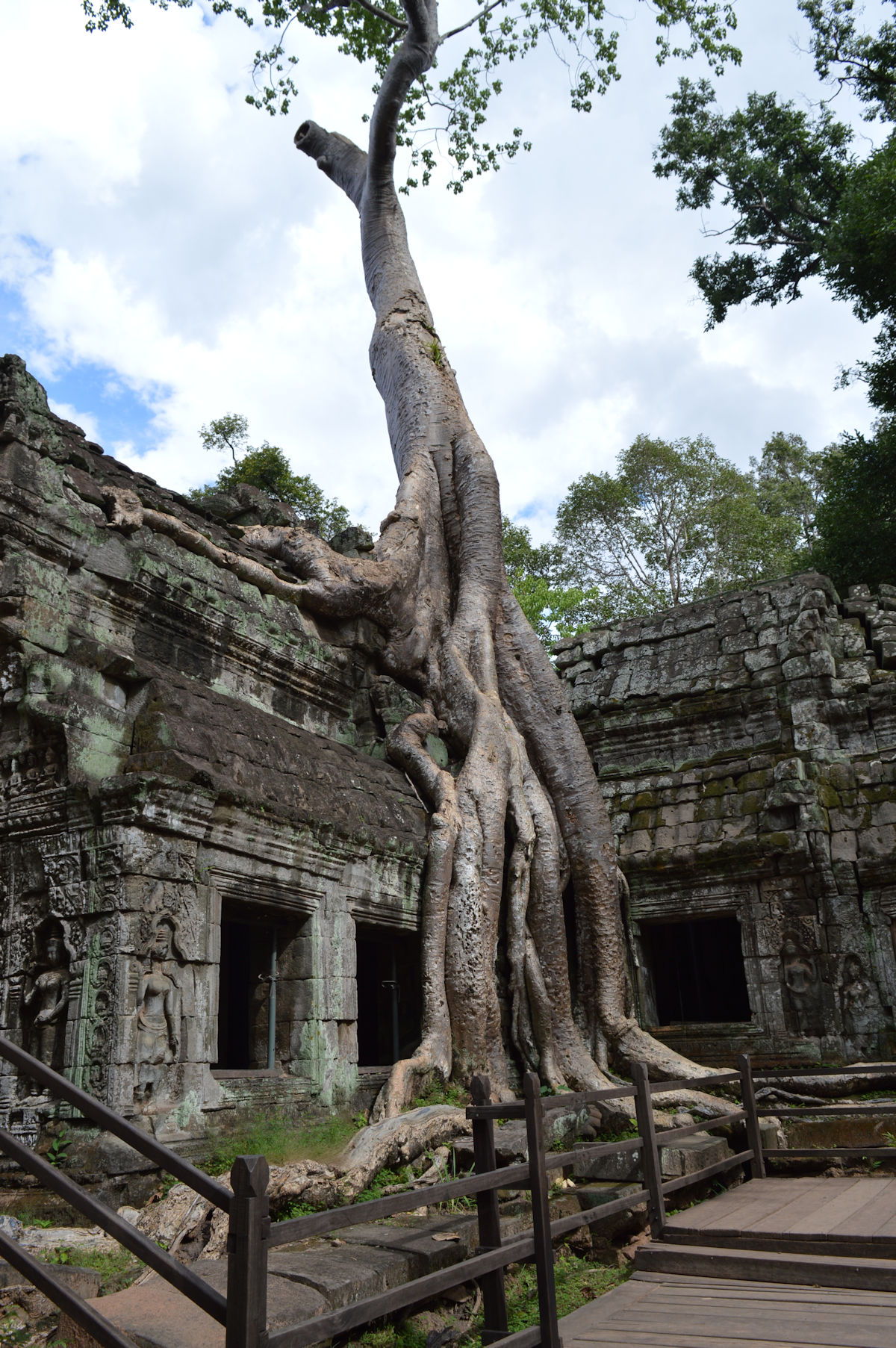 Ta Prohm